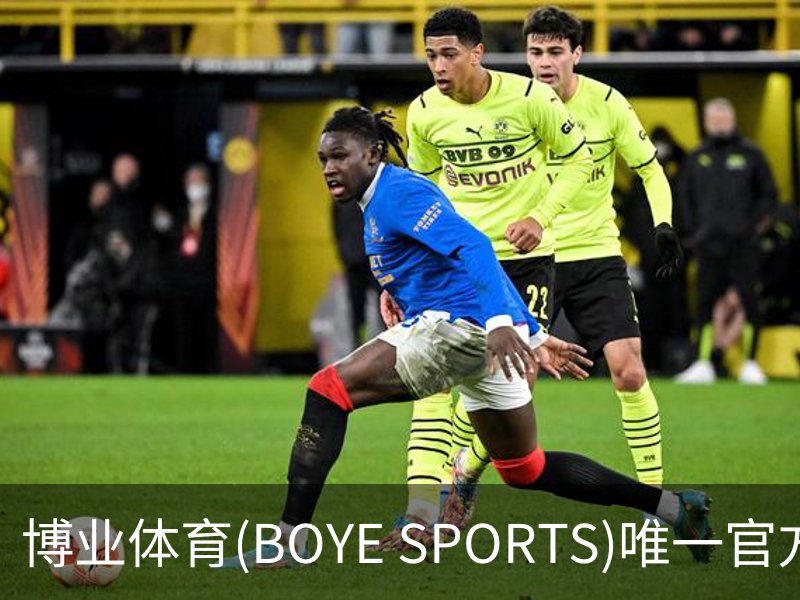 博业体育(BOYE SPORTS)唯一官方网站简介